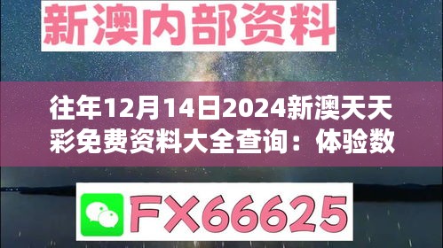 往年12月14日2024新澳天天彩免费资料大全查询：体验数字选择的艺术