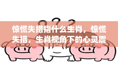 塔罗 第84页