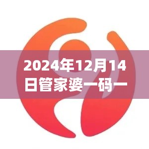 2024年12月14日管家婆一码一肖100准：一码一肖，开启数字世界的大门