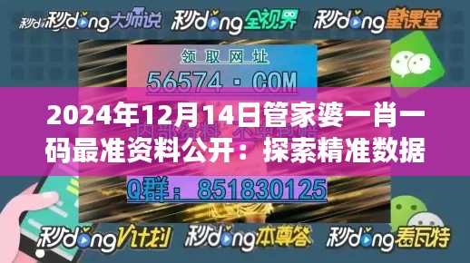 2024年12月14日管家婆一肖一码最准资料公开：探索精准数据的力量