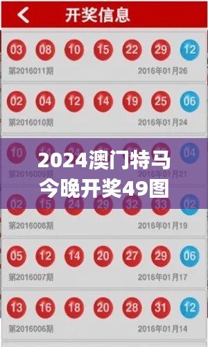 2024澳门特马今晚开奖49图片,效率解答解释落实_S6.410