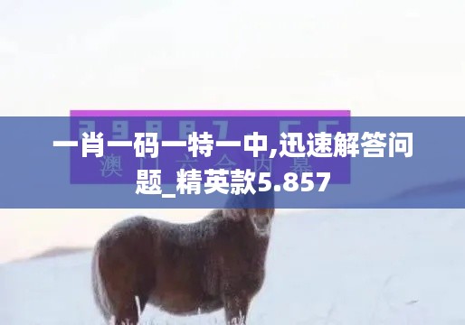 一肖一码一特一中,迅速解答问题_精英款5.857