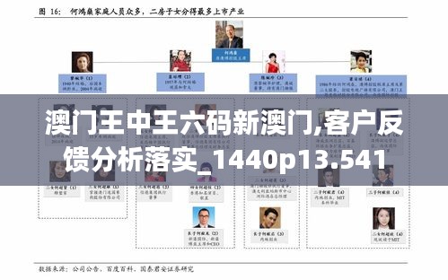 澳门王中王六码新澳门,客户反馈分析落实_1440p13.541