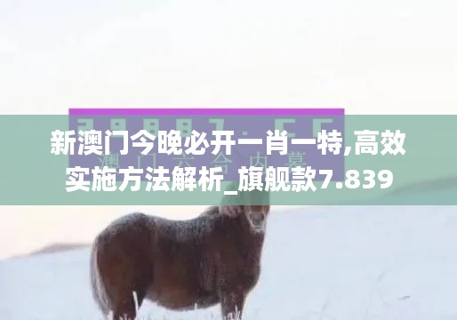 新澳门今晚必开一肖一特,高效实施方法解析_旗舰款7.839