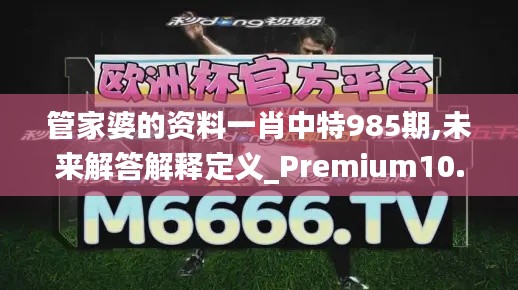 管家婆的资料一肖中特985期,未来解答解释定义_Premium10.582