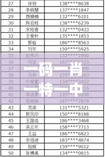 一码一肖一特一中2024,效率解答解释落实_DX版18.748