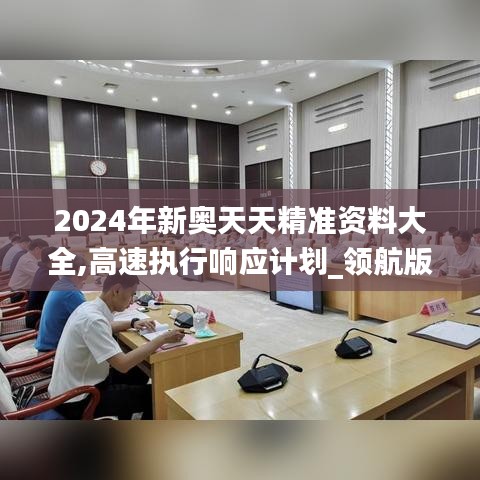 2024年新奥天天精准资料大全,高速执行响应计划_领航版8.458