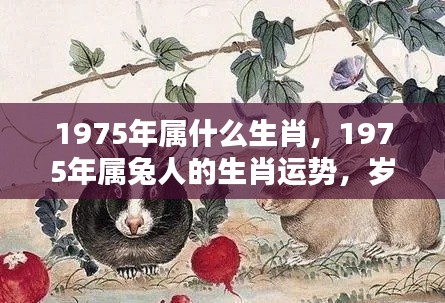 1975年属兔人的生肖运势，岁月静好，机遇与挑战并存