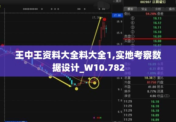 王中王资料大全料大全1,实地考察数据设计_W10.782