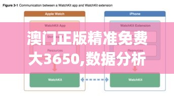 澳门正版精准免费大3650,数据分析驱动执行_KP1.475