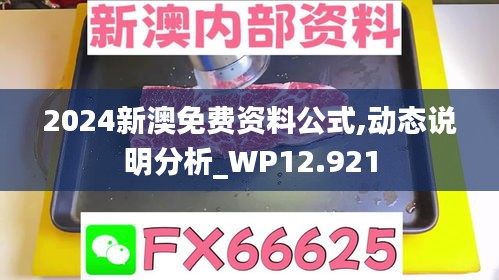 2024新澳免费资料公式,动态说明分析_WP12.921