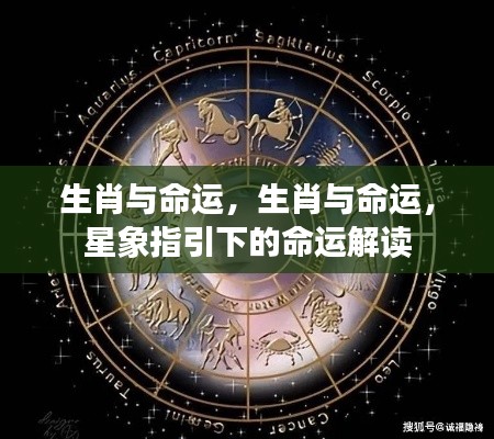 生肖星象与命运解读，探寻生肖背后的命运指引