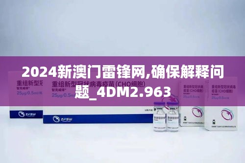 2024新澳门雷锋网,确保解释问题_4DM2.963