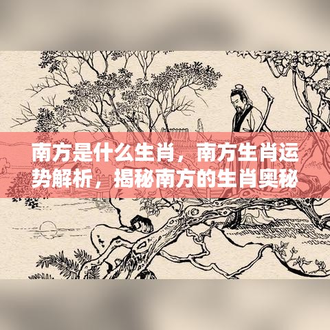 揭秘南方生肖奥秘与运势解析，探寻属于你的生肖运势特点