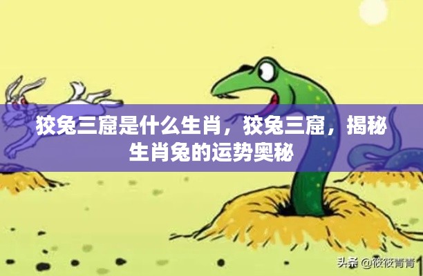 狡兔三窟，生肖兔的运势奥秘揭秘