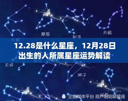 12月28日星座运势解读，探寻星座运势与性格特征之路