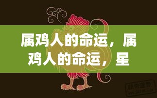 属鸡人的命运展望，星光指引前程