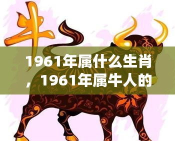 1961年属牛人的命运与生肖运势解析，揭秘牛年运势之星