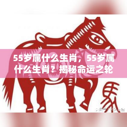 揭秘命运之轮下的独特魅力与运势走向，55岁属相生肖解析