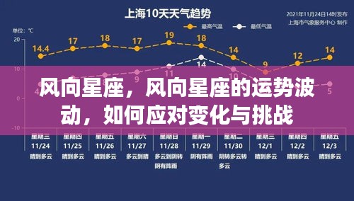 风向星座运势波动解析与应对挑战策略