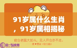 揭秘生肖运势，91岁属相揭晓与岁月流转下的生肖运势展望