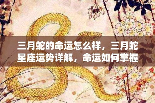 三月蛇星座运势详解与命运掌握之道