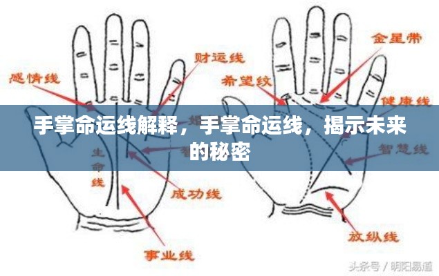 手掌命运线解读，揭示未来命运之谜的奥秘纹线分析