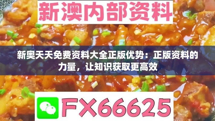 新奥天天免费资料大全正版优势：正版资料的力量，让知识获取更高效