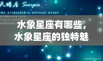 水象星座揭秘，独特魅力与个性丰富的星座特征探索