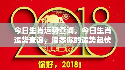 今日生肖运势详解，洞悉你的运势起伏查询