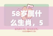 揭秘，58岁属何种生肖？生肖运势与人生轨迹一览无余。