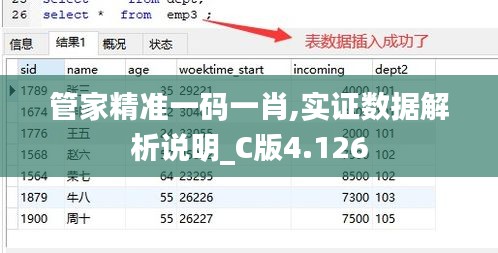 管家精准一码一肖,实证数据解析说明_C版4.126