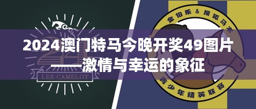 2024澳门特马今晚开奖49图片——激情与幸运的象征