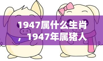 1947年属猪人的生肖运势详解