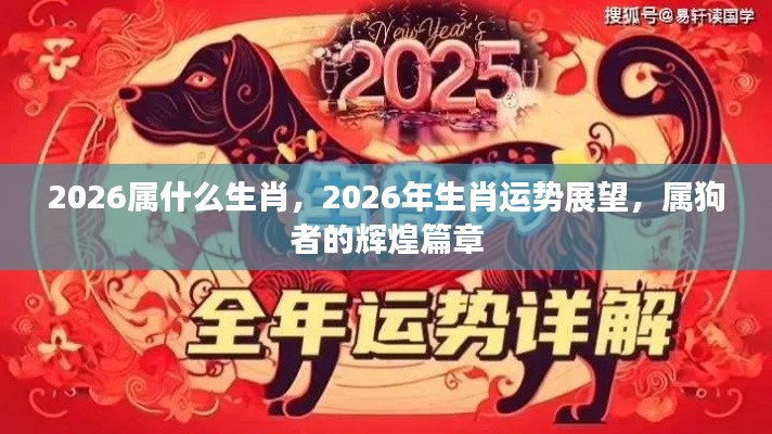 2026年属狗者的运势展望，辉煌篇章开启