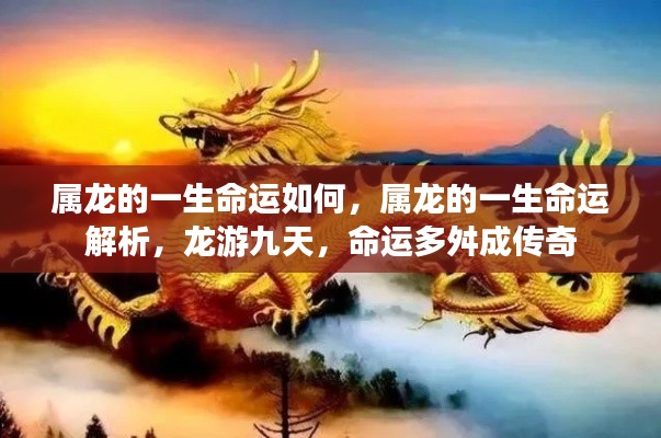 属龙命运解析，龙游九天，命运传奇多舛路