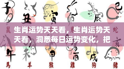 每日生肖运势解析，掌握好运，洞悉变化