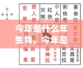 今年生肖运势解析，运势走向及生肖年份解读