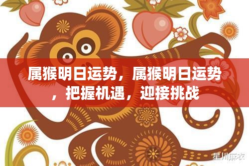 属猴明日运势展望，把握机遇，迎接挑战