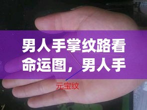 男人手掌纹路揭示命运密码，手纹与命运图的深度解读奥秘