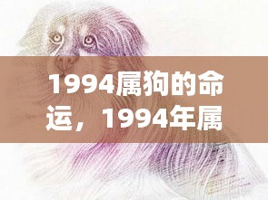 1994年属狗人的忠诚与坚韧，命运之星照亮辉煌人生之路