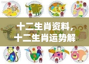 揭秘十二生肖运势解析与星象奥秘关联