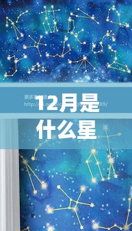 12月星座运势揭秘，星空下的星座转变与挑战