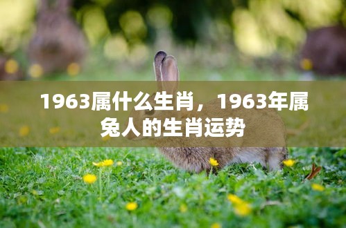 1963年属兔人的生肖运势及特点分析