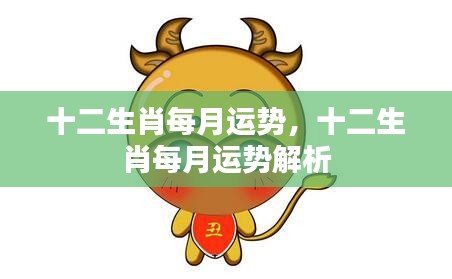 十二生肖每月运势详解与解析