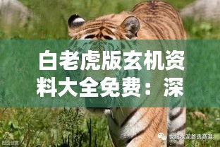 白老虎版玄机资料大全免费：深度解析与自由获取的完美结合