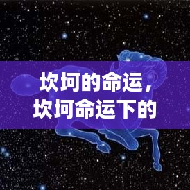 逆境中的希望与挑战，星座运势在坎坷命运下的探索