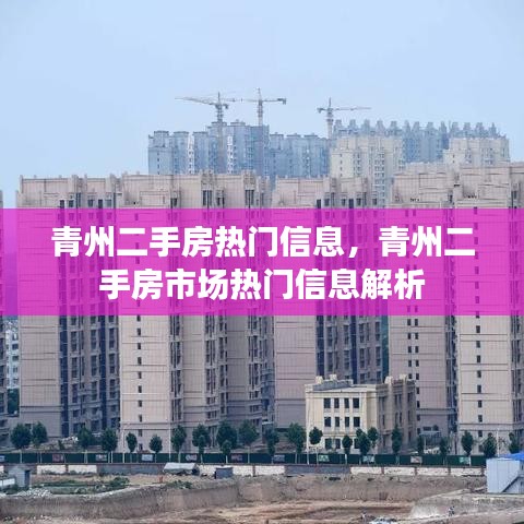 青州二手房市场深度解析，热门信息一览