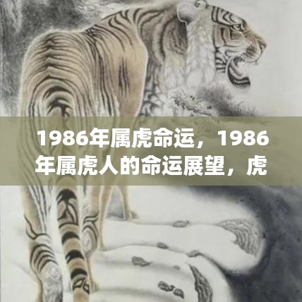 1986年属虎人的命运展望，虎虎生威还是命运多舛？