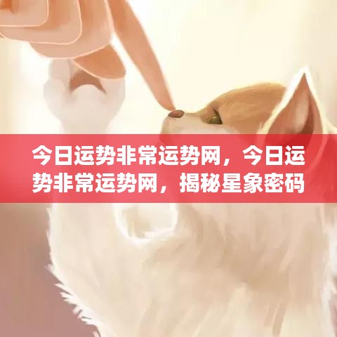 揭秘星象密码，掌握今日运势走向——非常运势网独家解析